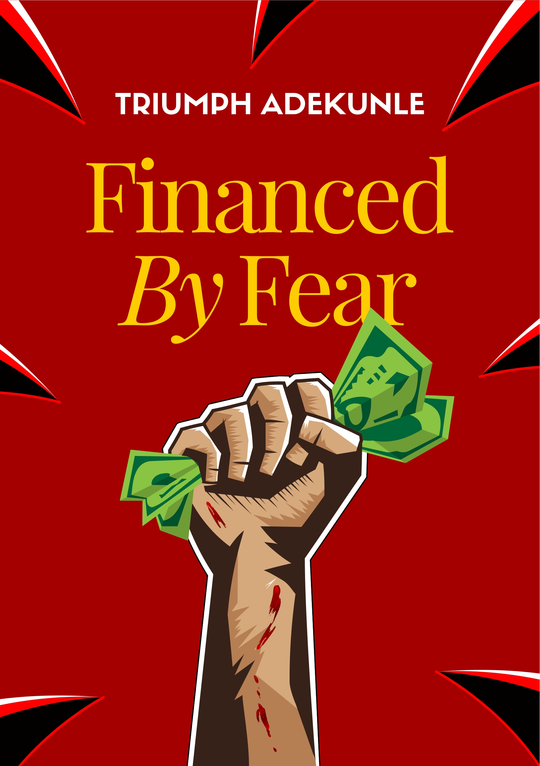 Financed by Fear book cover